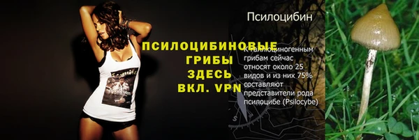 дурь Верхнеуральск
