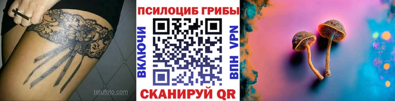 Купить закладки  Балтийск  Псилоцибиновые грибы Psilocybe 
